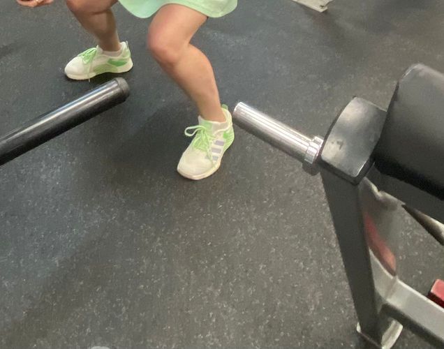 תמונת דירוג 1 מתוך 1