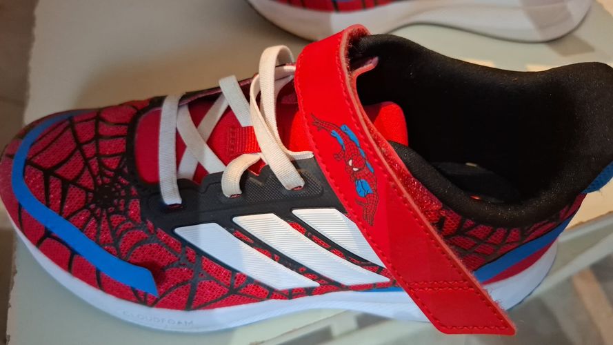 תמונת דירוג 1 מתוך 1