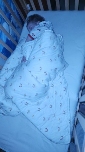 תמונת דירוג 1 מתוך 3