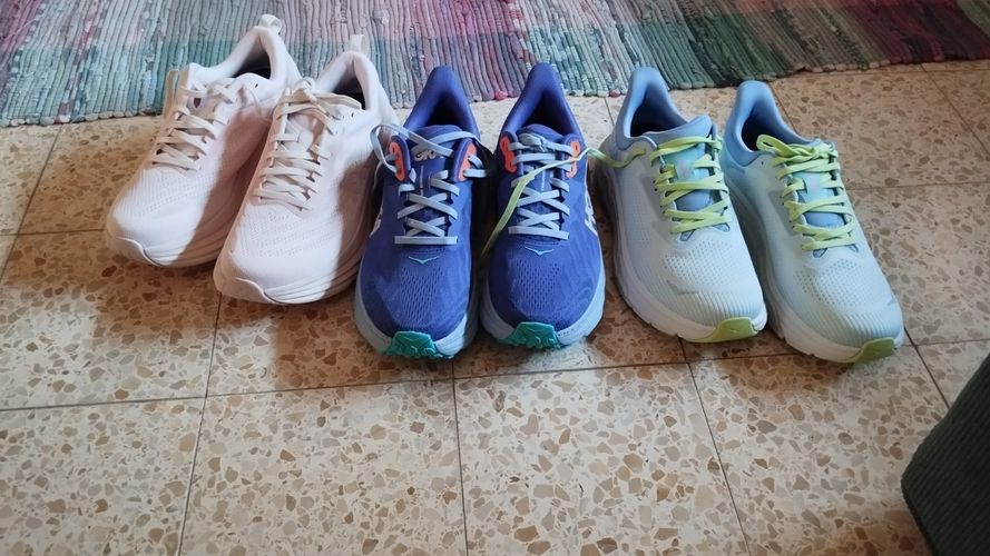 תמונת דירוג 1 מתוך 1