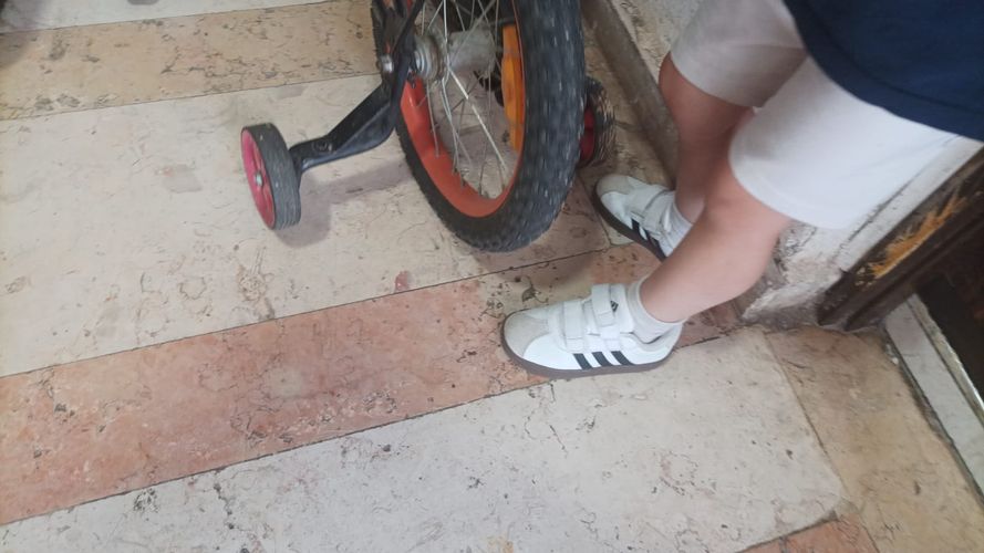 תמונת דירוג 1 מתוך 1