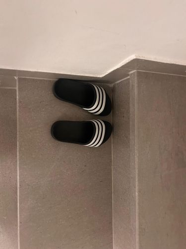 תמונת דירוג 1 מתוך 1